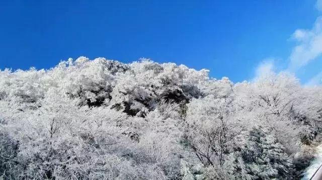 大叔钓鱼