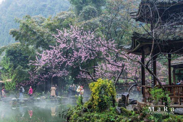 哆啦A梦2奇迹之岛