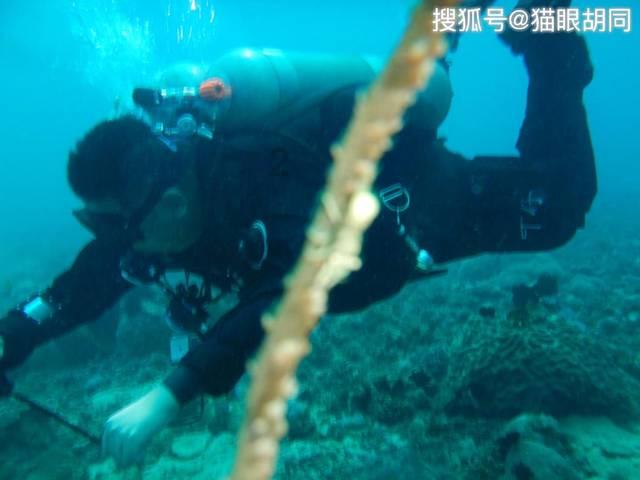 魔法骑士战争