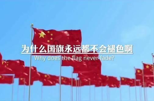 三亚:机械化育秧插秧助力水稻提质增产跑出“加速度”