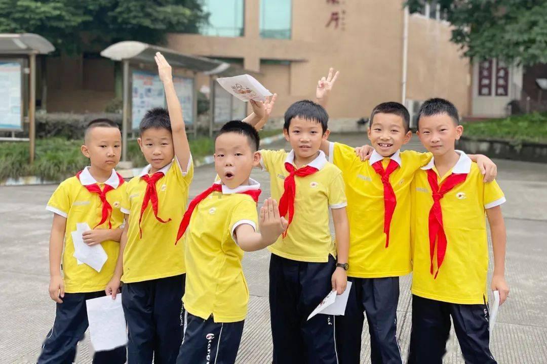 植物大战僵尸5