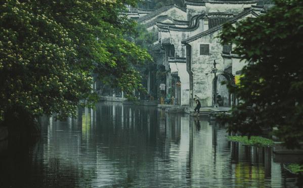 蜂王救援